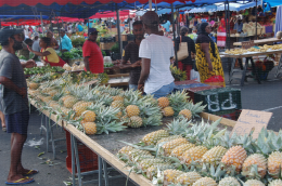 Marché de St André (Réunion) - Etal d'ananas Victoria